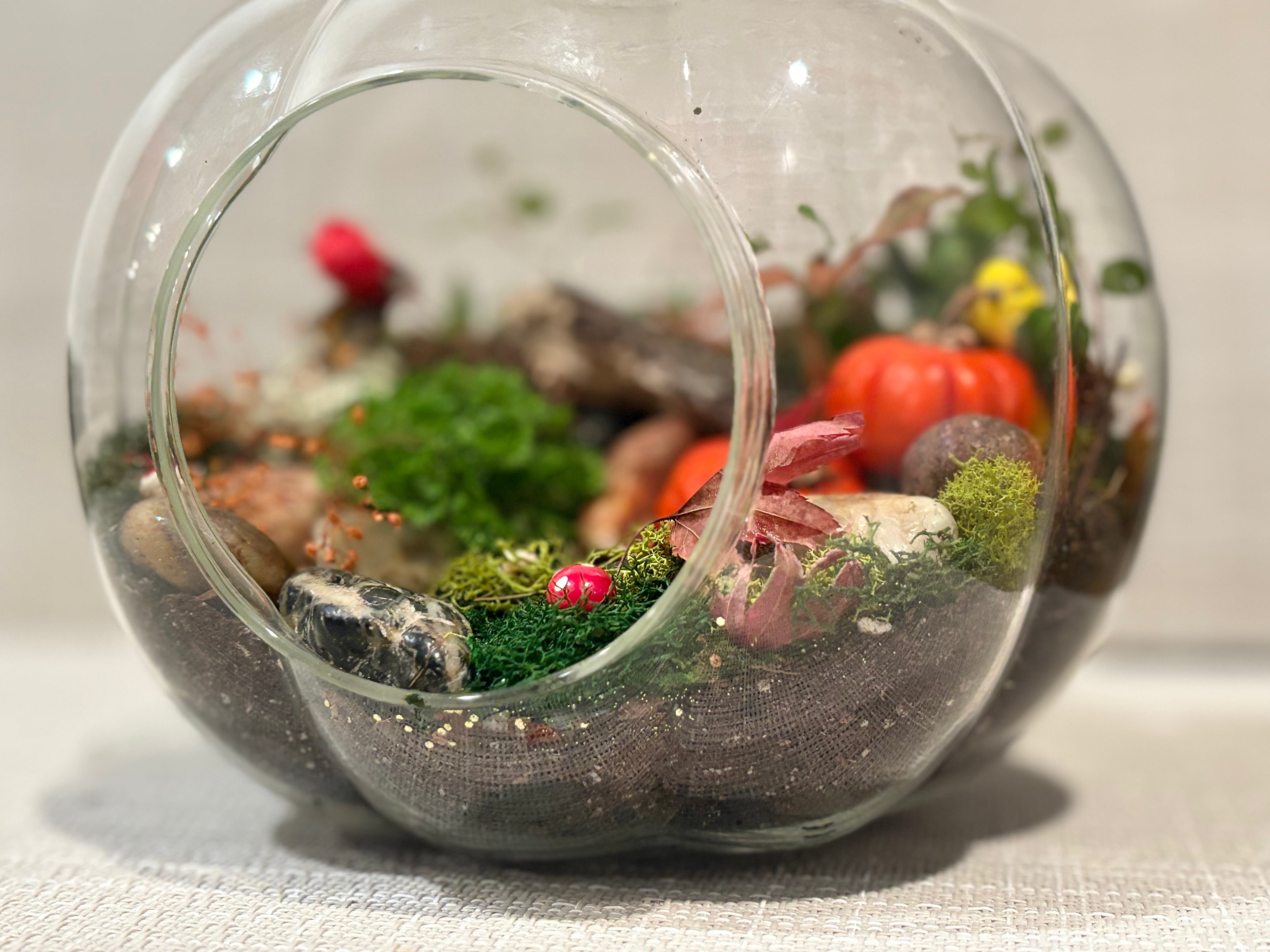 Fall Pumpkin Woodland Terrerium