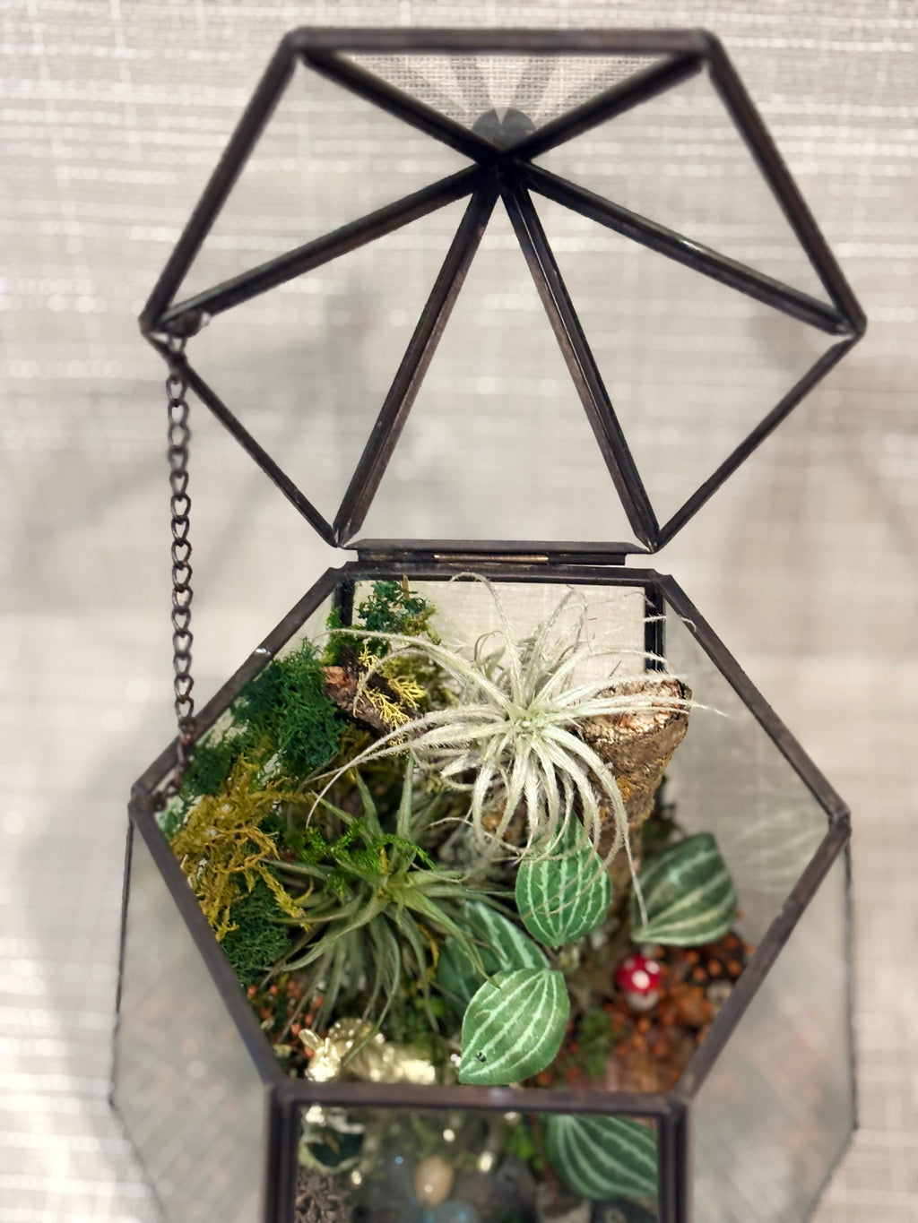 Forest Lantern of Whimsy Terrerium