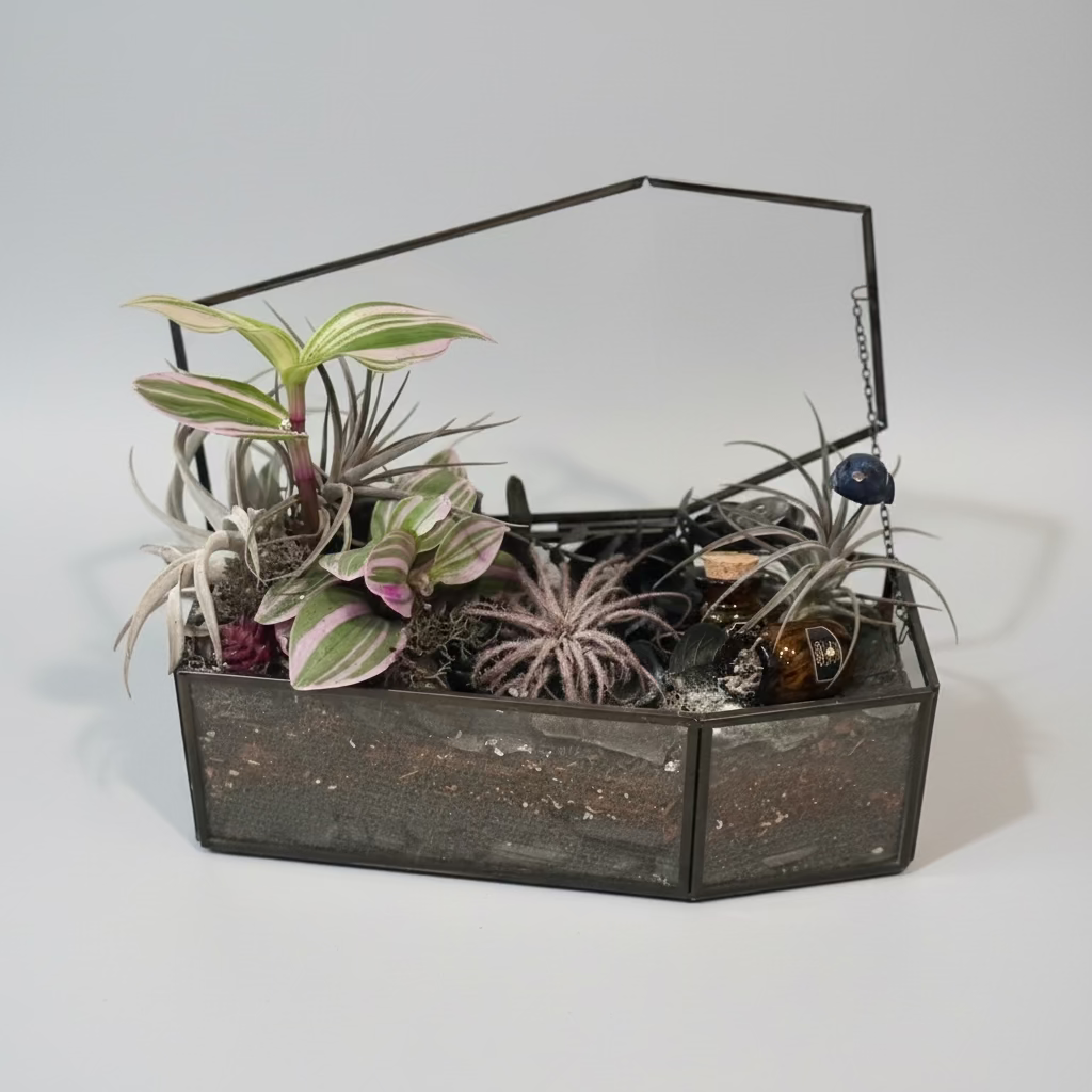 Spooky Forest Coffin Terrerium