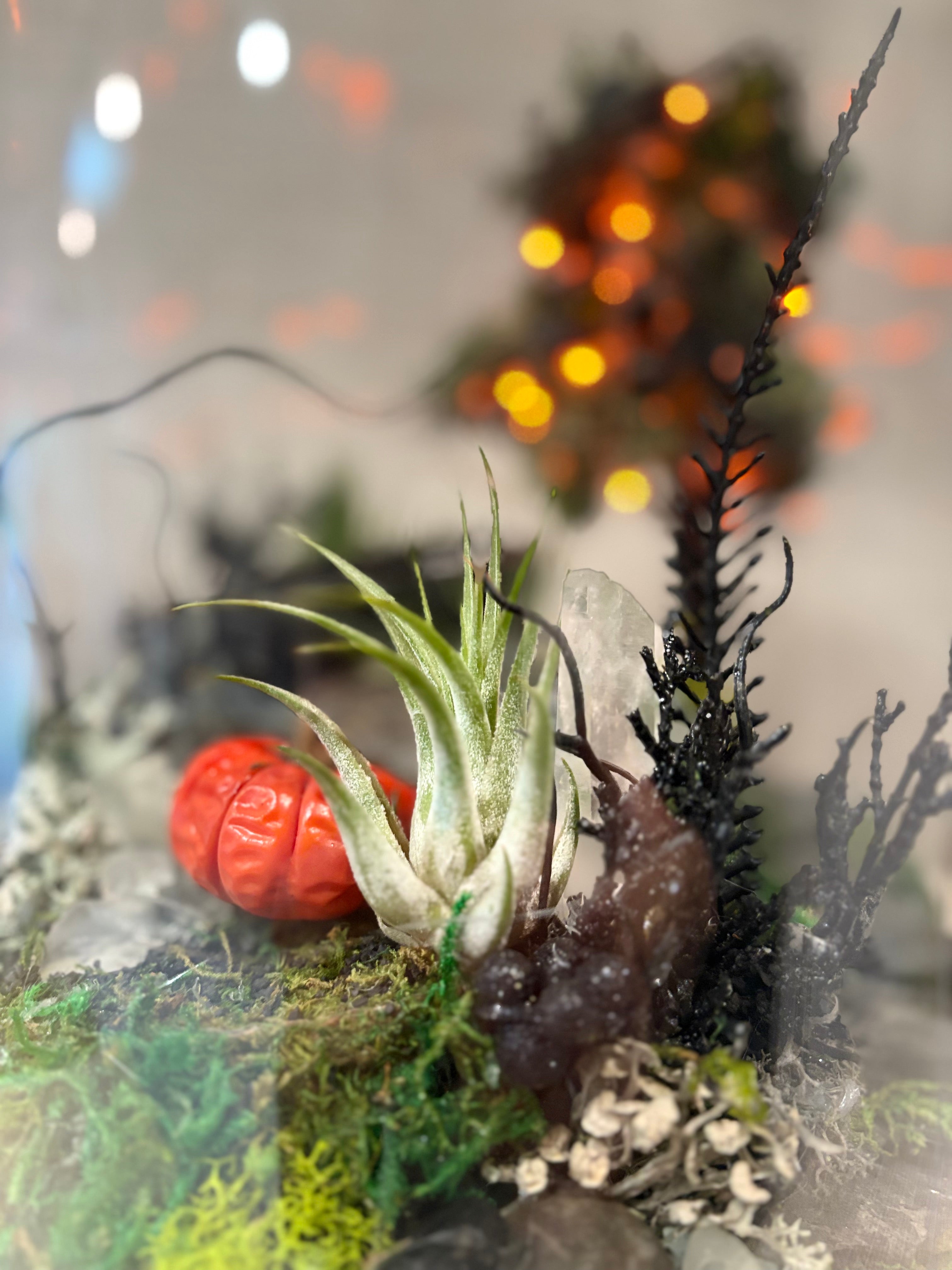 Enchanted Graveyard Under Glass