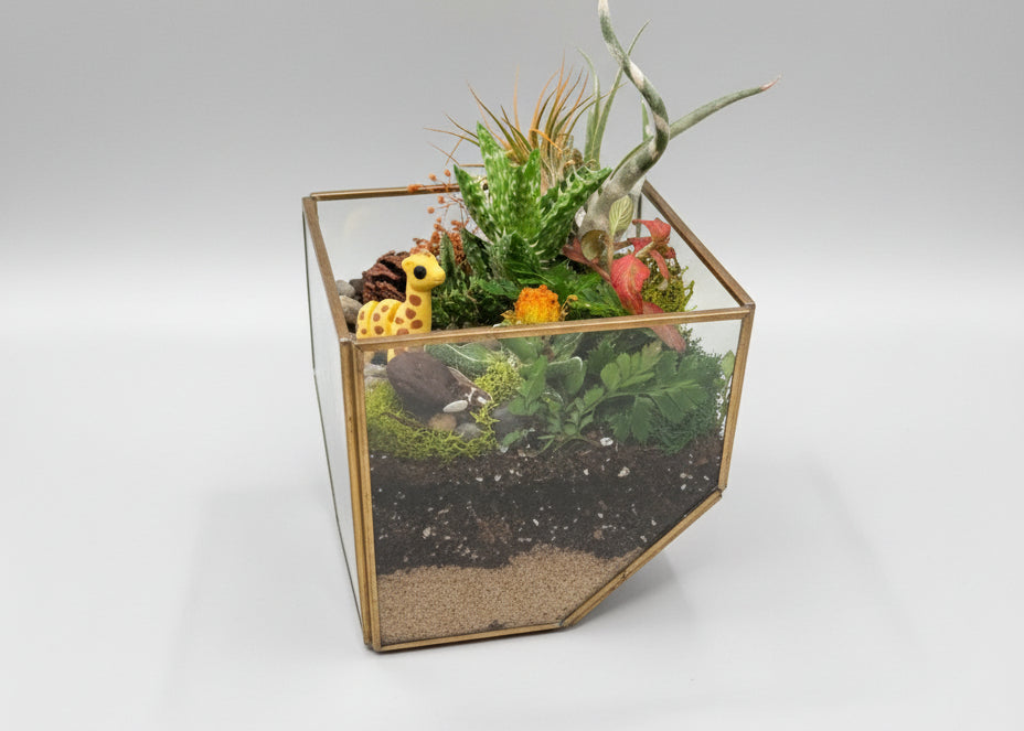 Magical Safari Garden Terrerium