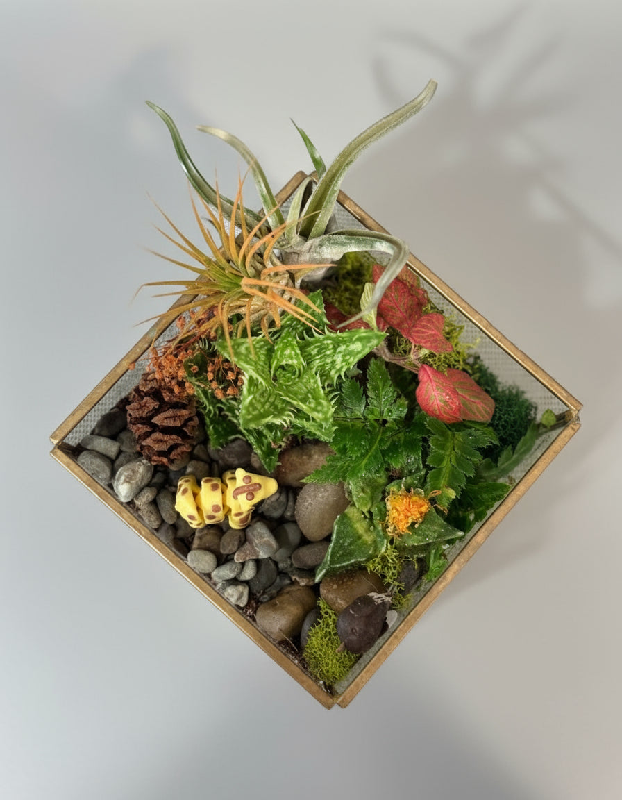 Magical Safari Garden Terrerium