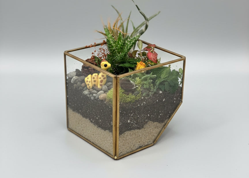 Magical Safari Garden Terrerium