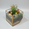 Magical Safari Garden Terrerium