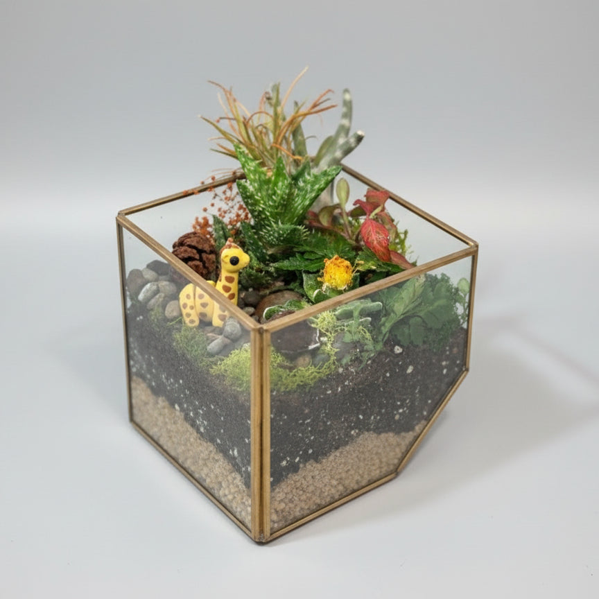 Magical Safari Garden Terrerium