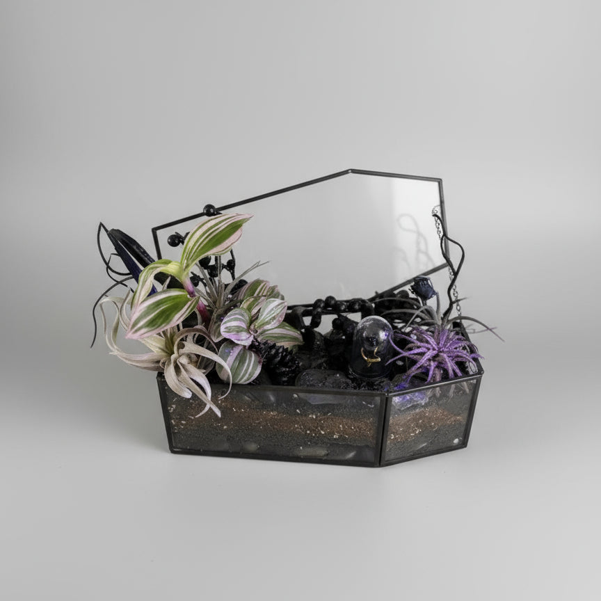 Spooky Forest Coffin Terrerium