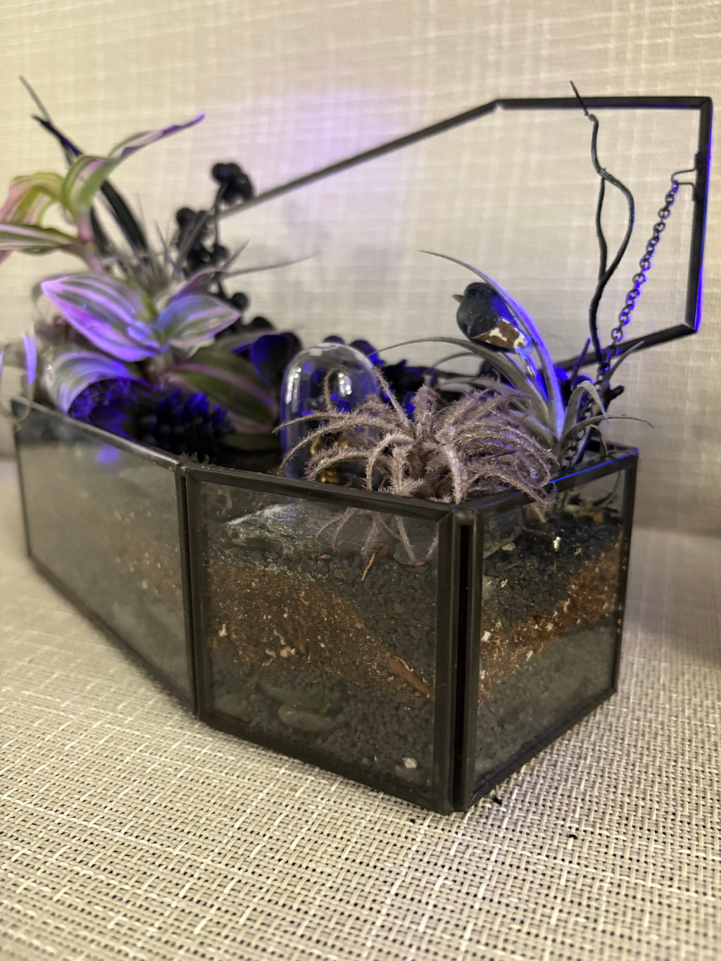 Spooky Forest Coffin Terrerium