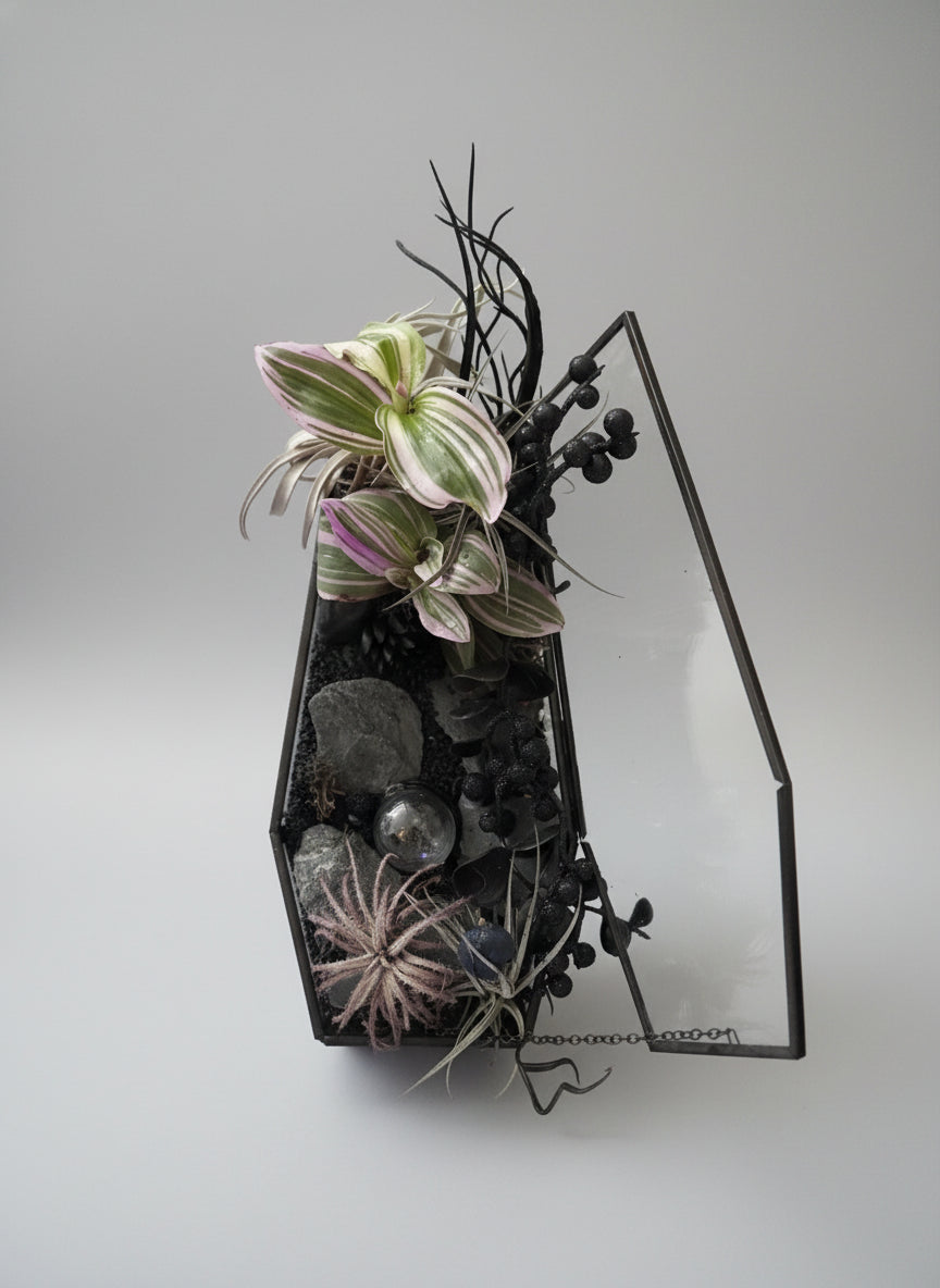 Spooky Forest Coffin Terrerium