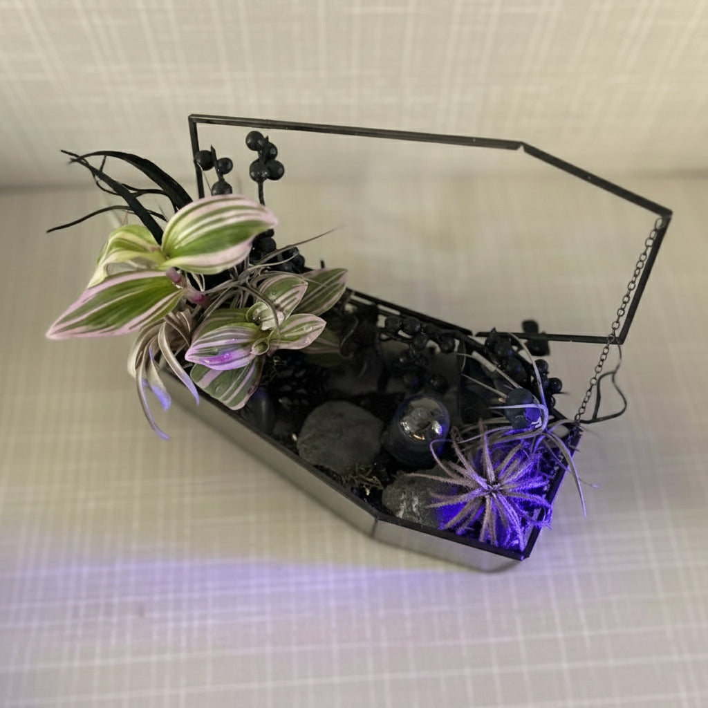 Spooky Forest Coffin Terrerium
