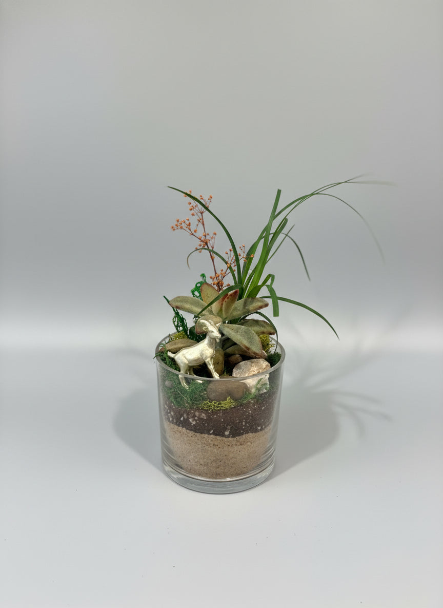 Whispering Woods Horse Terrerium