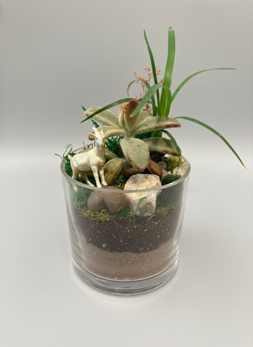 Whispering Woods Horse Terrerium