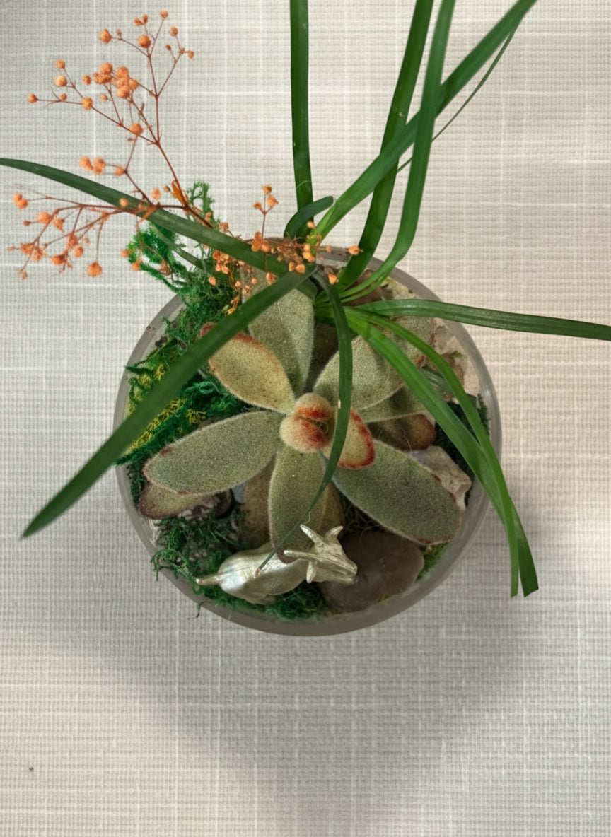 Whispering Woods Horse Terrerium