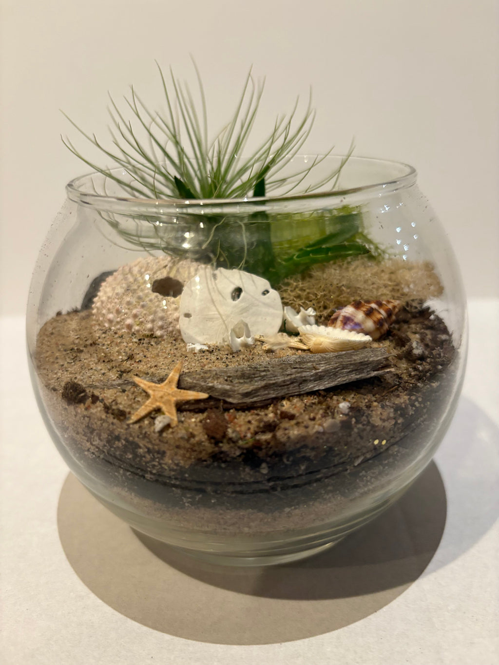 Mini Seaside Serenity Terrerium