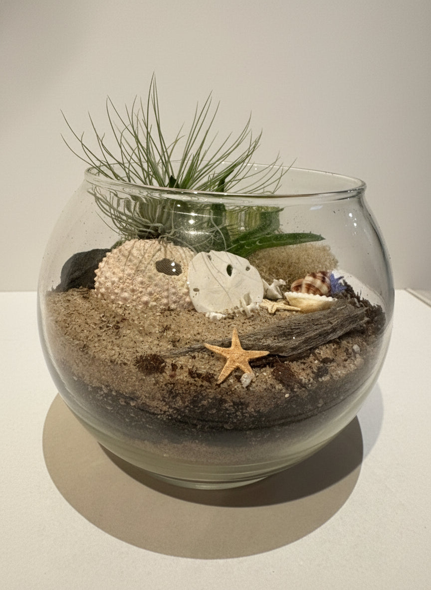 Mini Seaside Serenity Terrerium