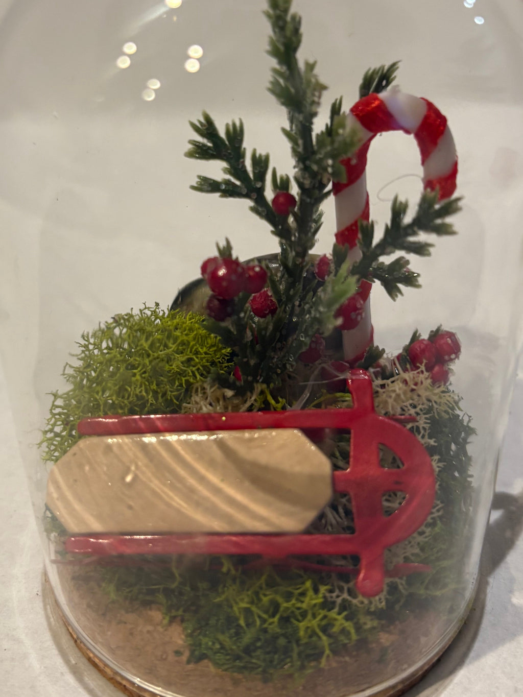 Holiday Slope Cheer Ornament