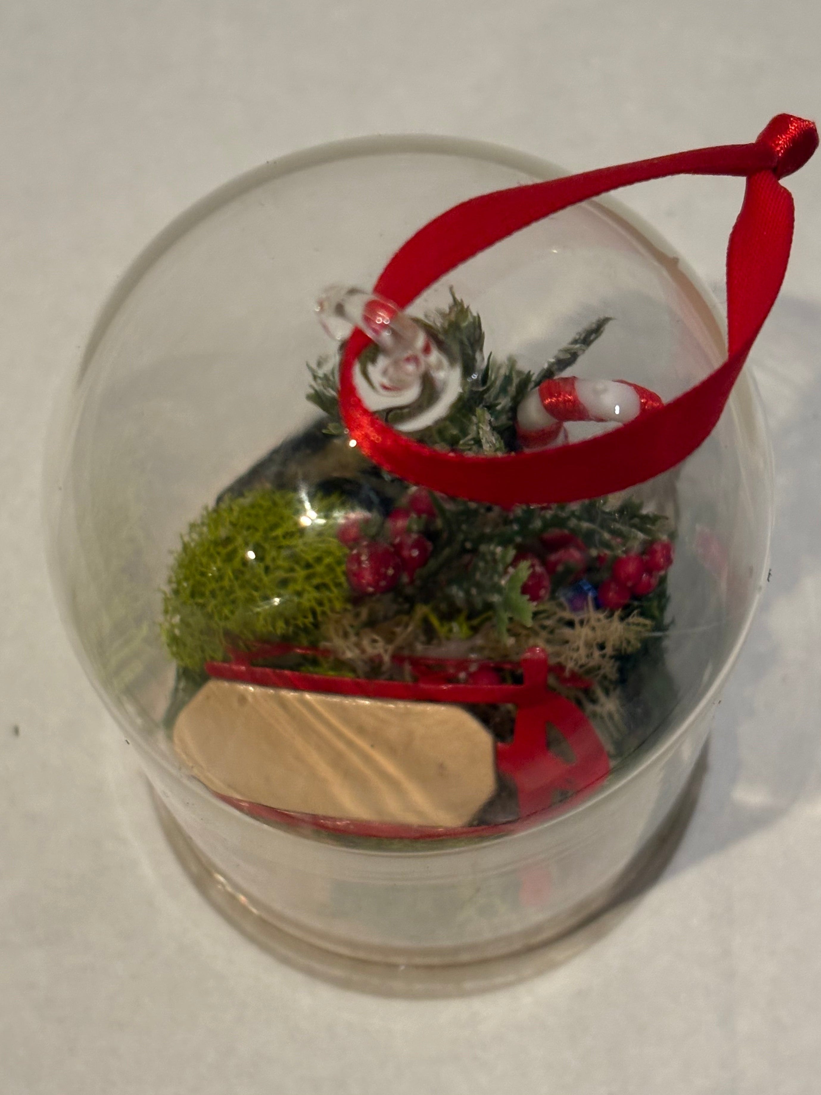 Holiday Slope Cheer Ornament