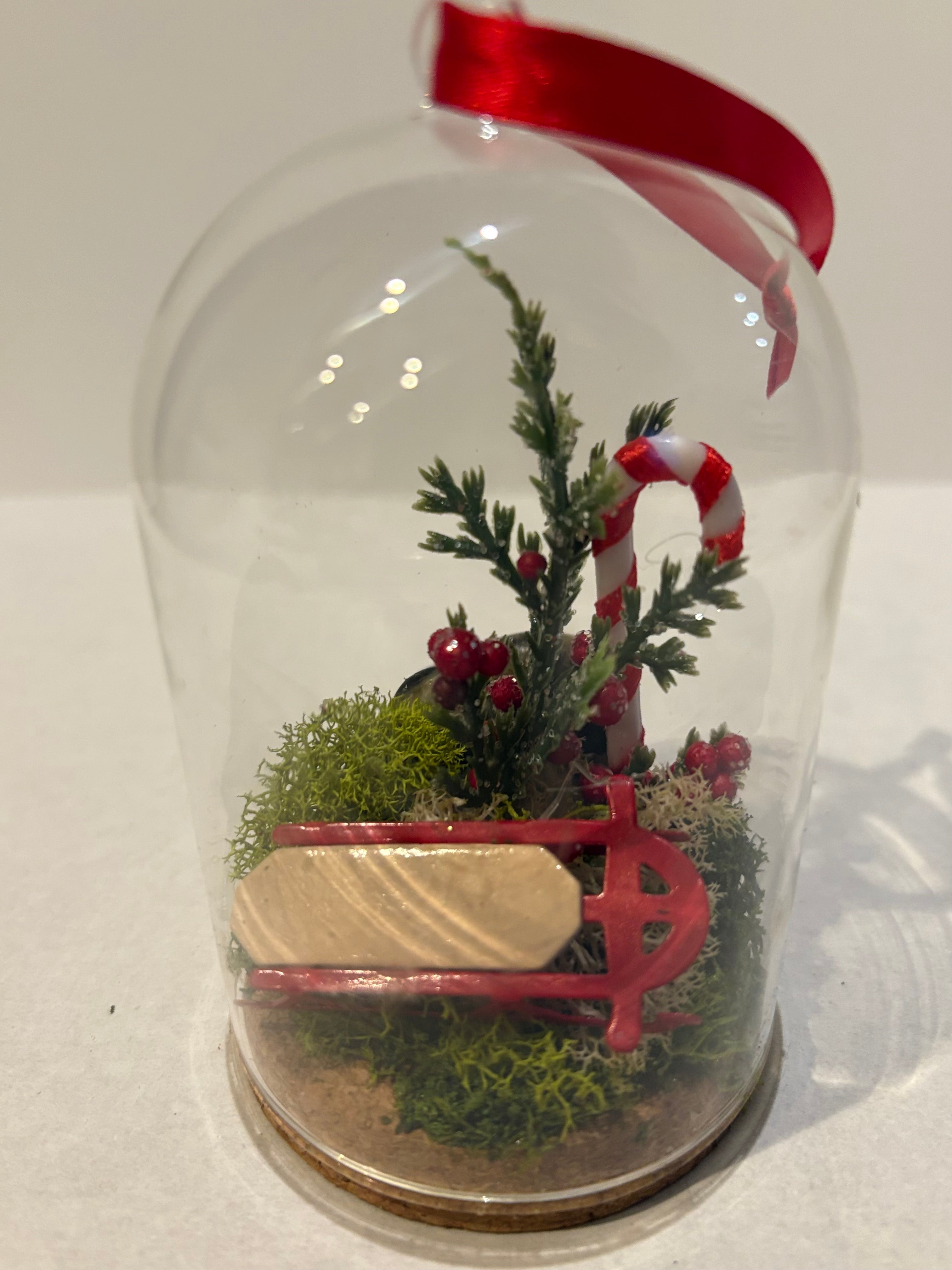 Holiday Slope Cheer Ornament