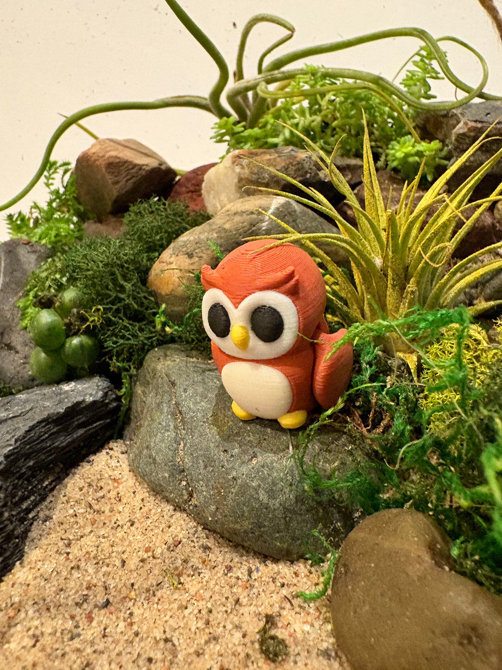 Little Owl Haven Terrarium