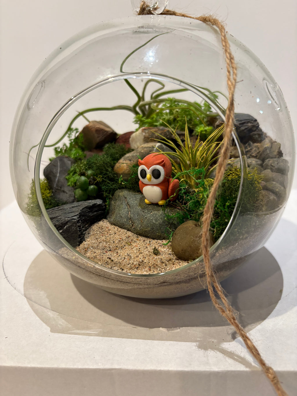 Little Owl Haven Terrarium