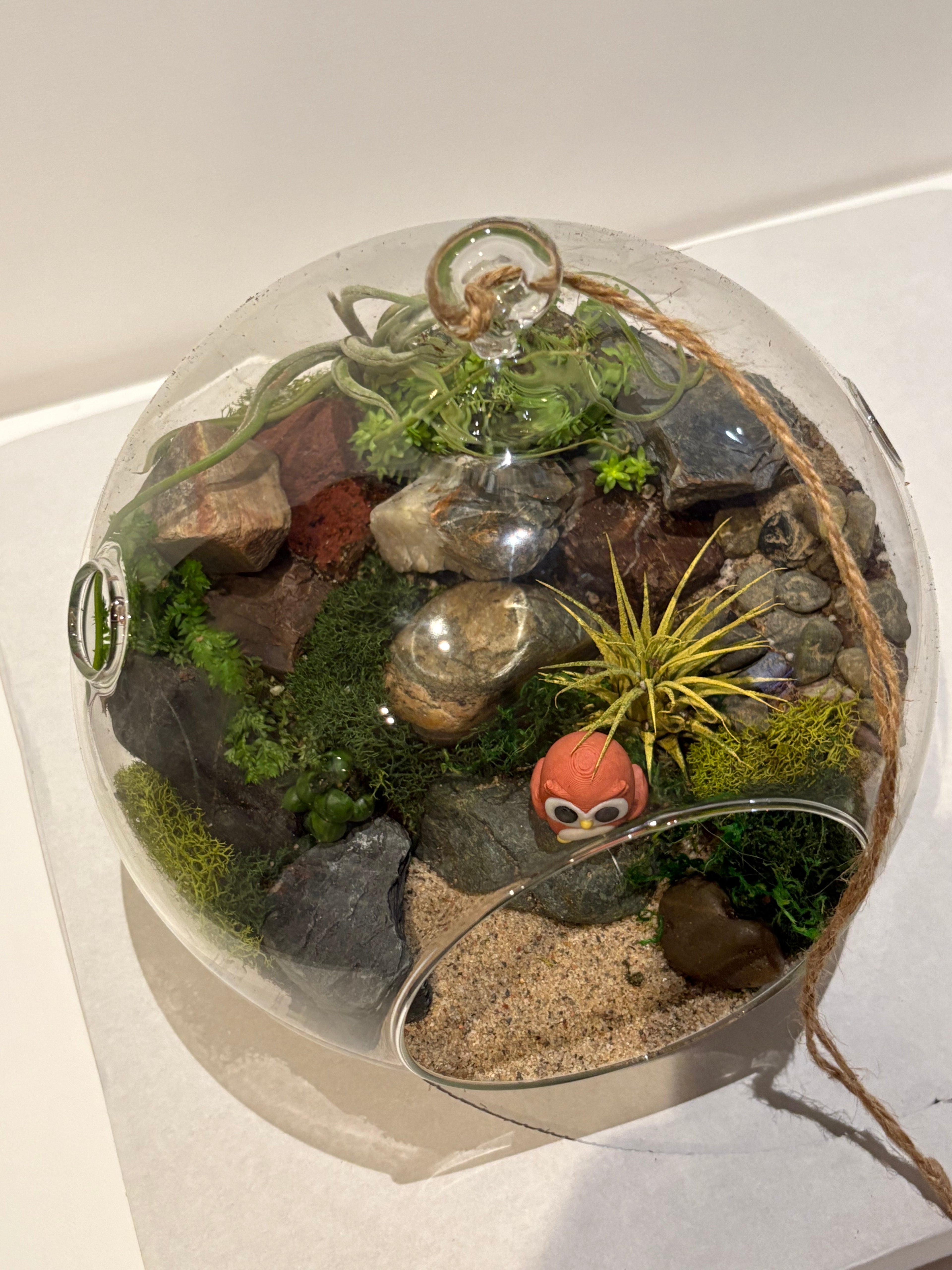 Little Owl Haven Terrarium