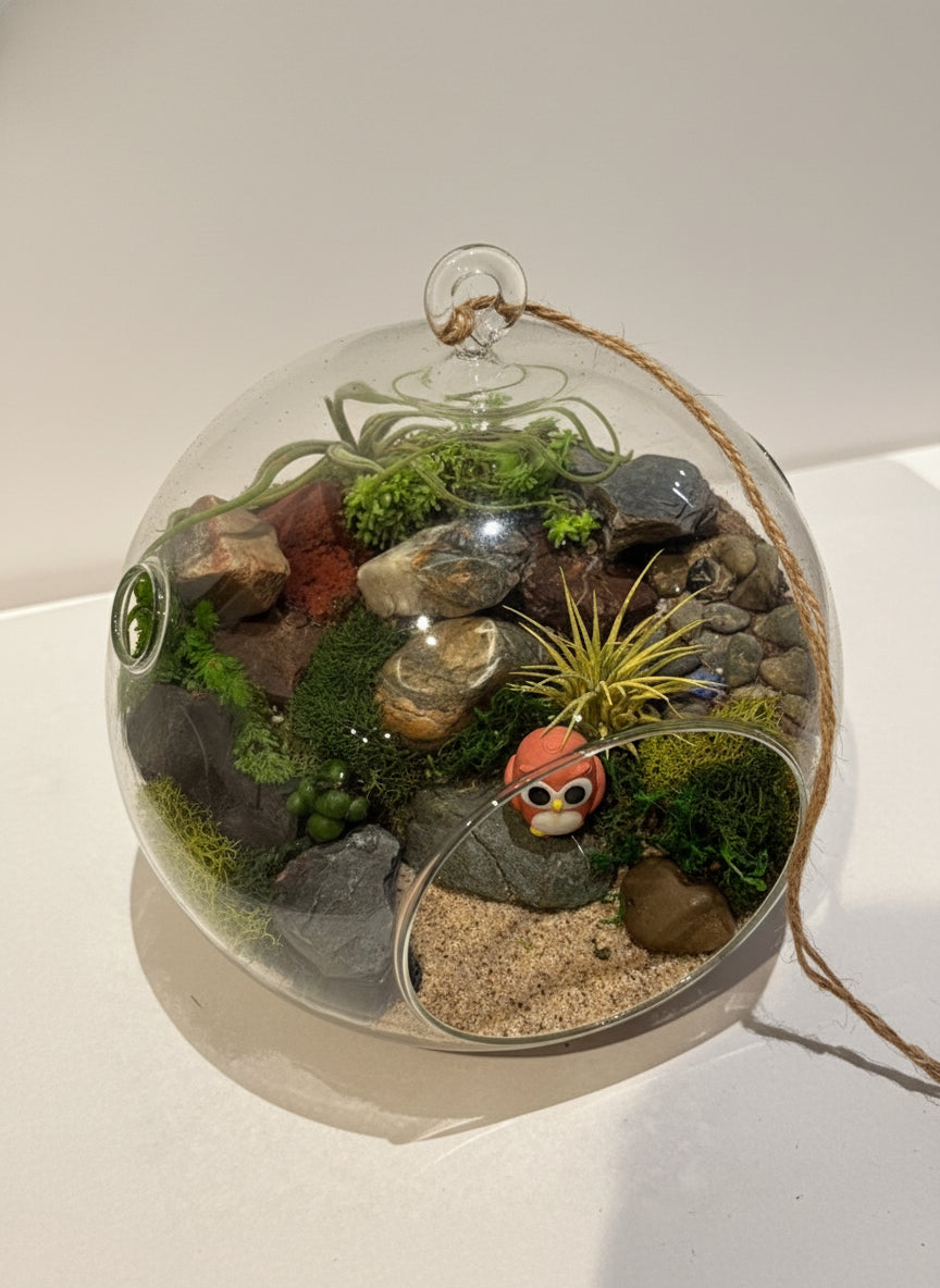 Little Owl Haven Terrarium