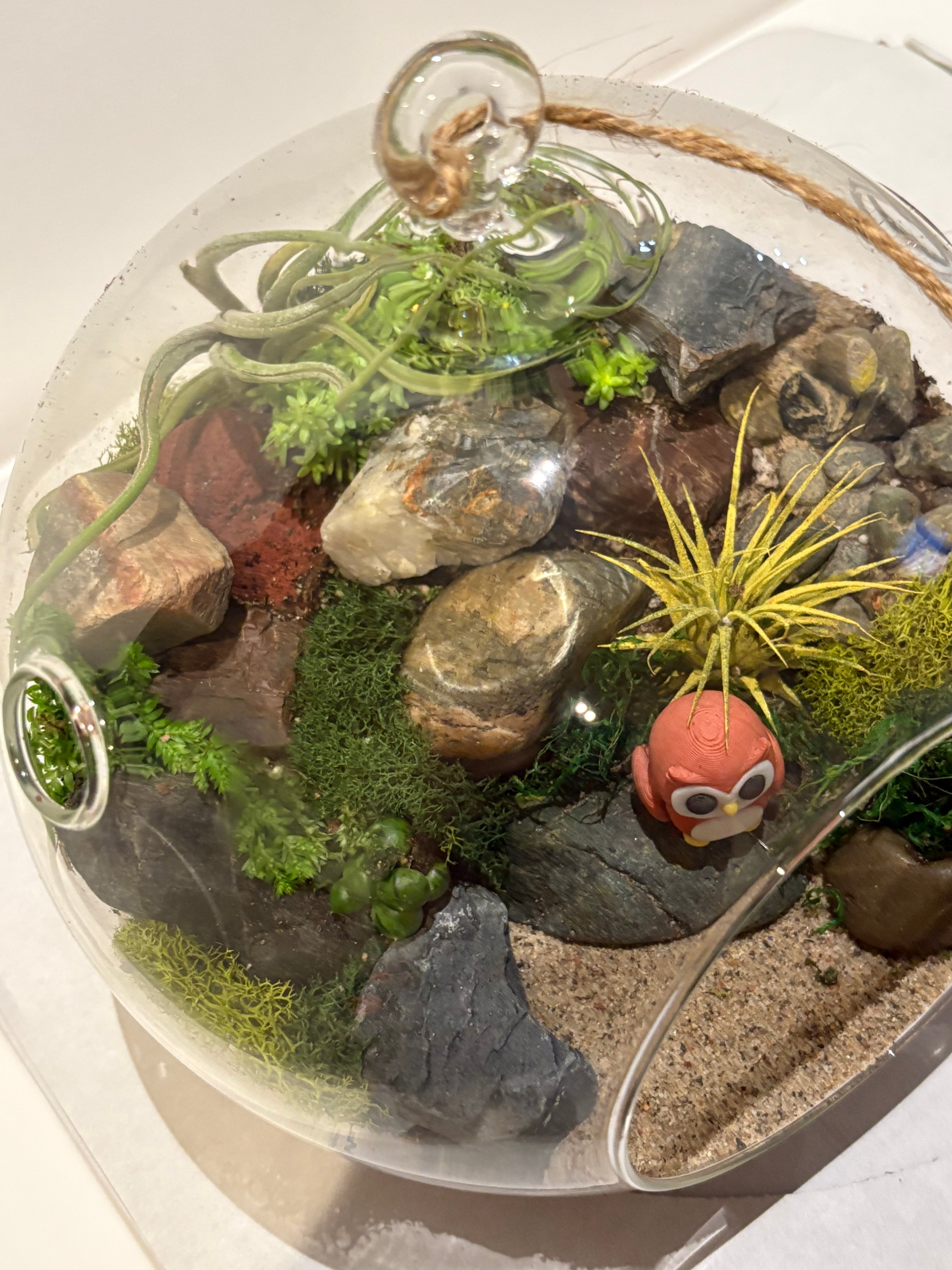 Little Owl Haven Terrarium