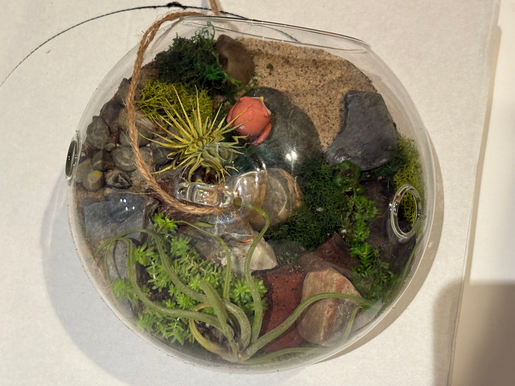 Little Owl Haven Terrarium