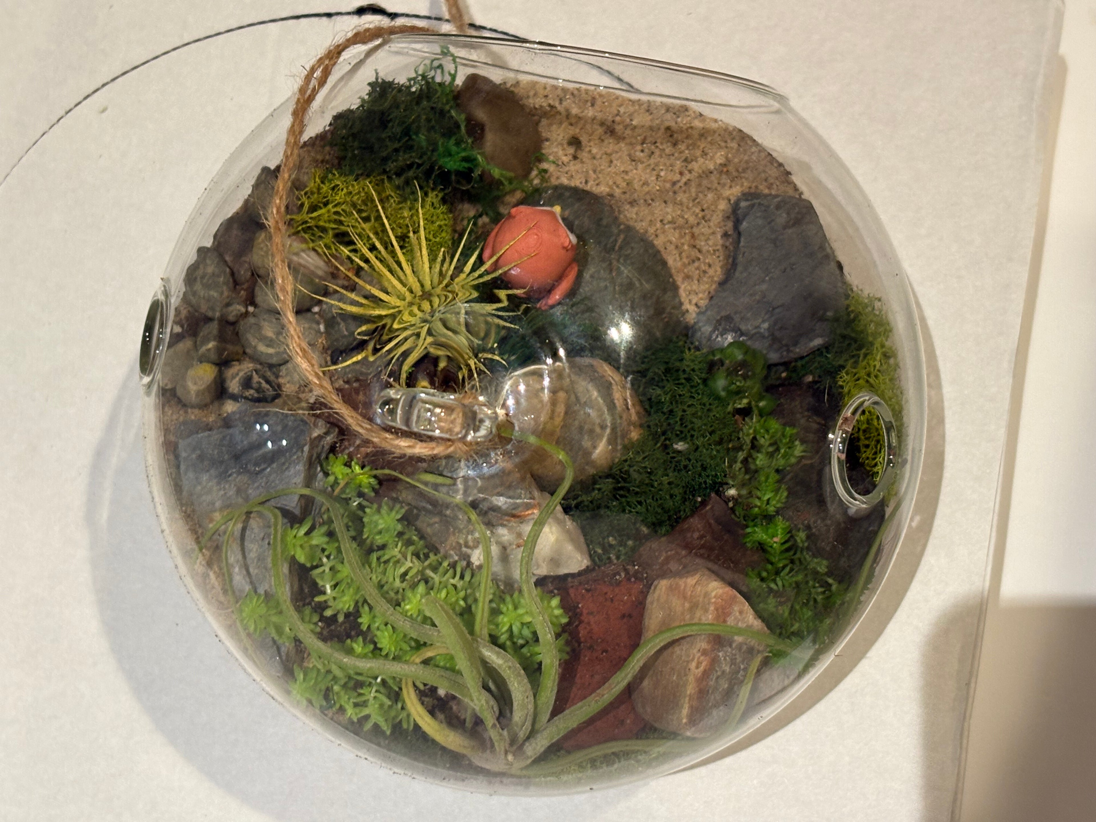 Little Owl Haven Terrarium