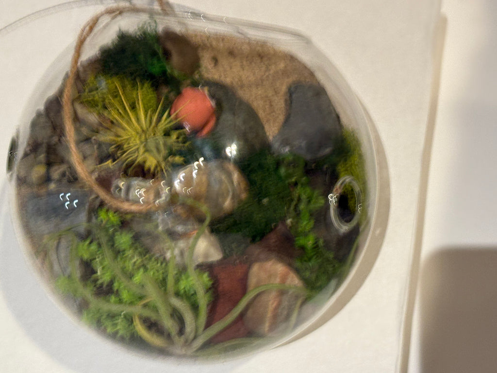 Little Owl Haven Terrarium