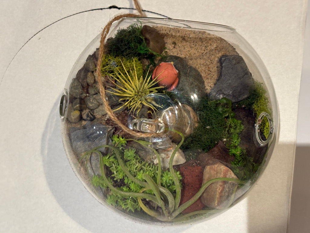 Little Owl Haven Terrarium