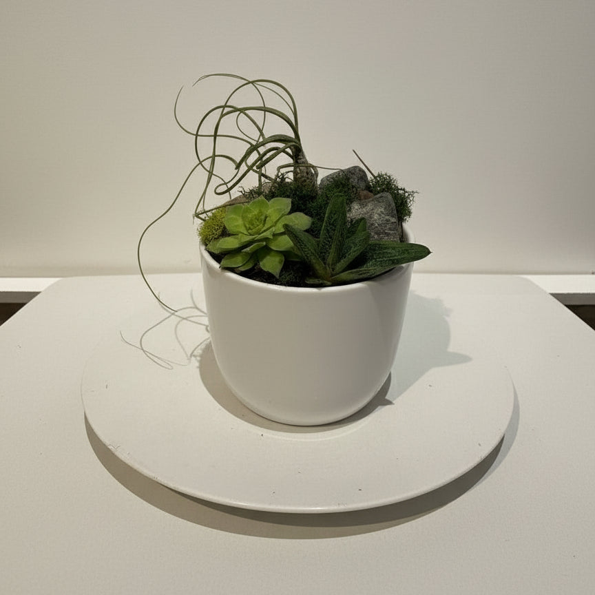 The Green Current Terrarium