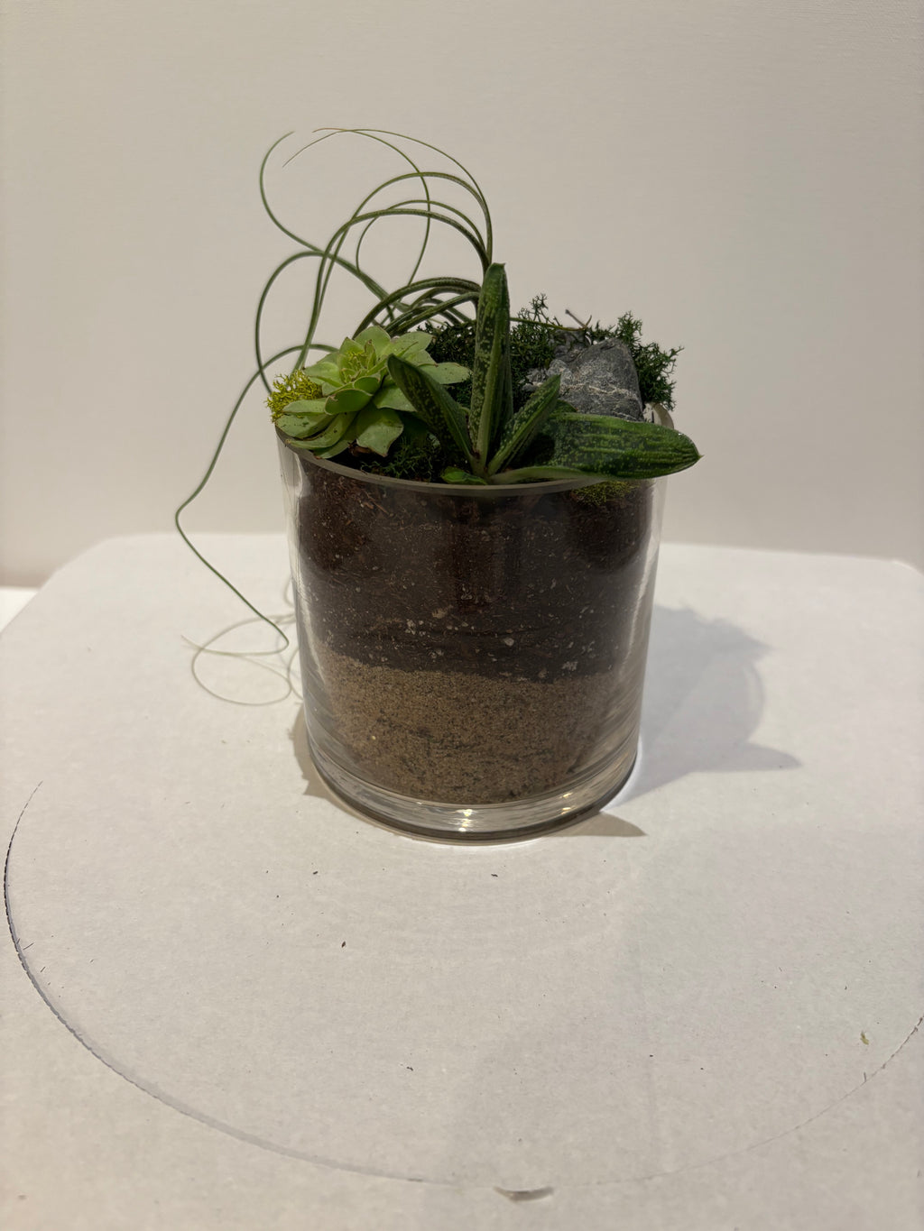 The Green Current Terrarium