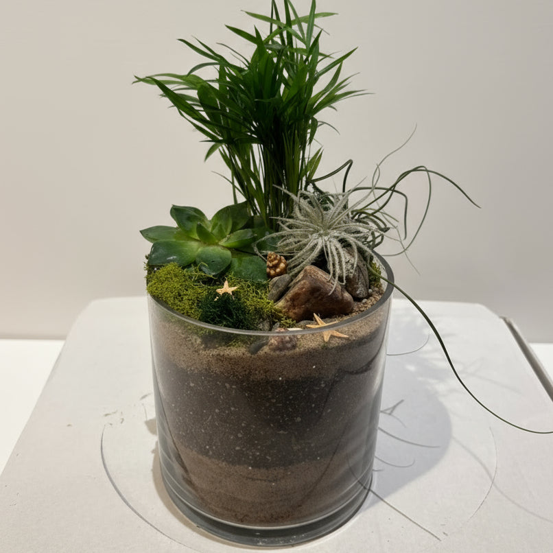 Magical Forest Veil Terrarium