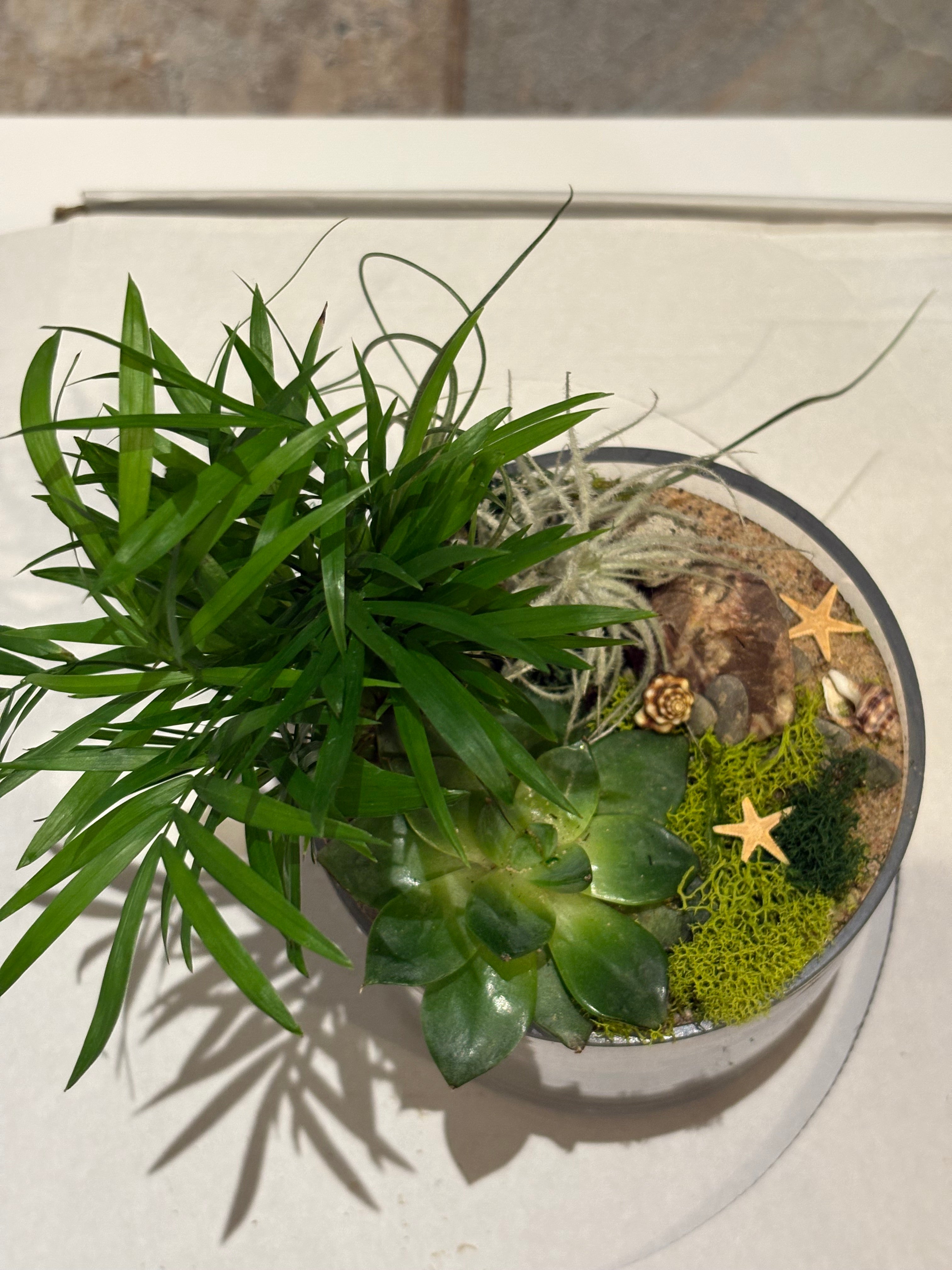 Magical Forest Veil Terrarium