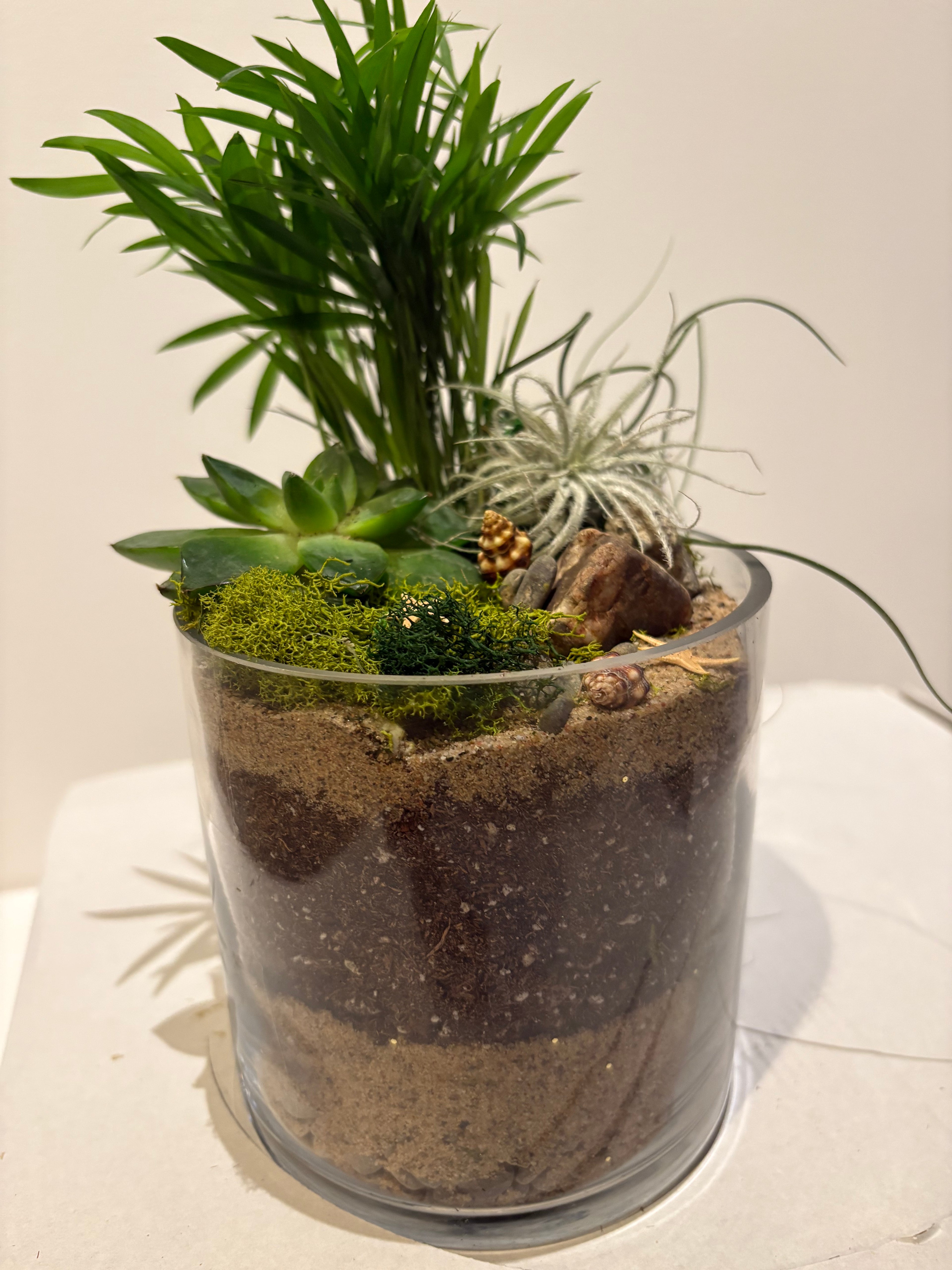 Magical Forest Veil Terrarium