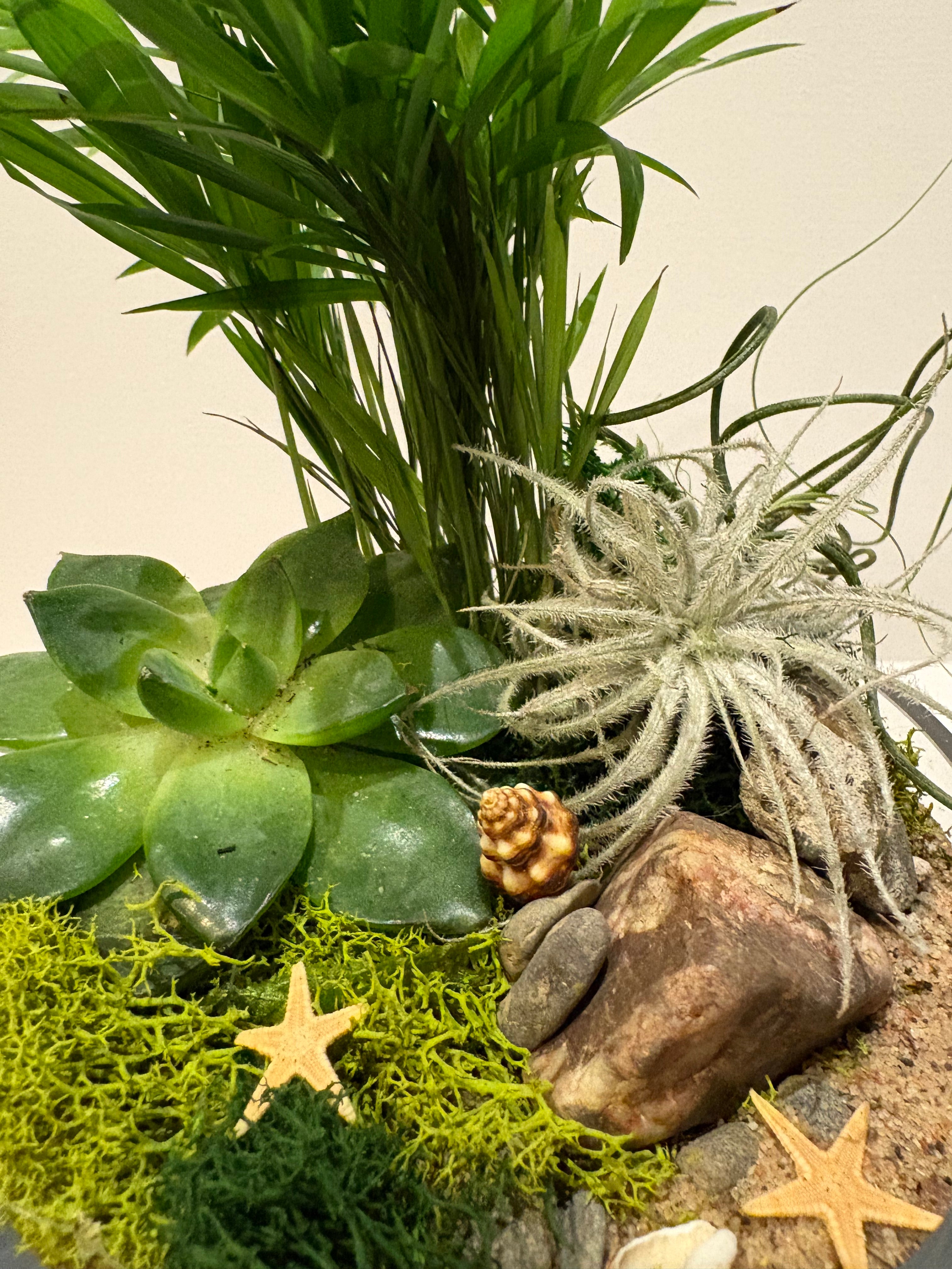 Magical Forest Veil Terrarium