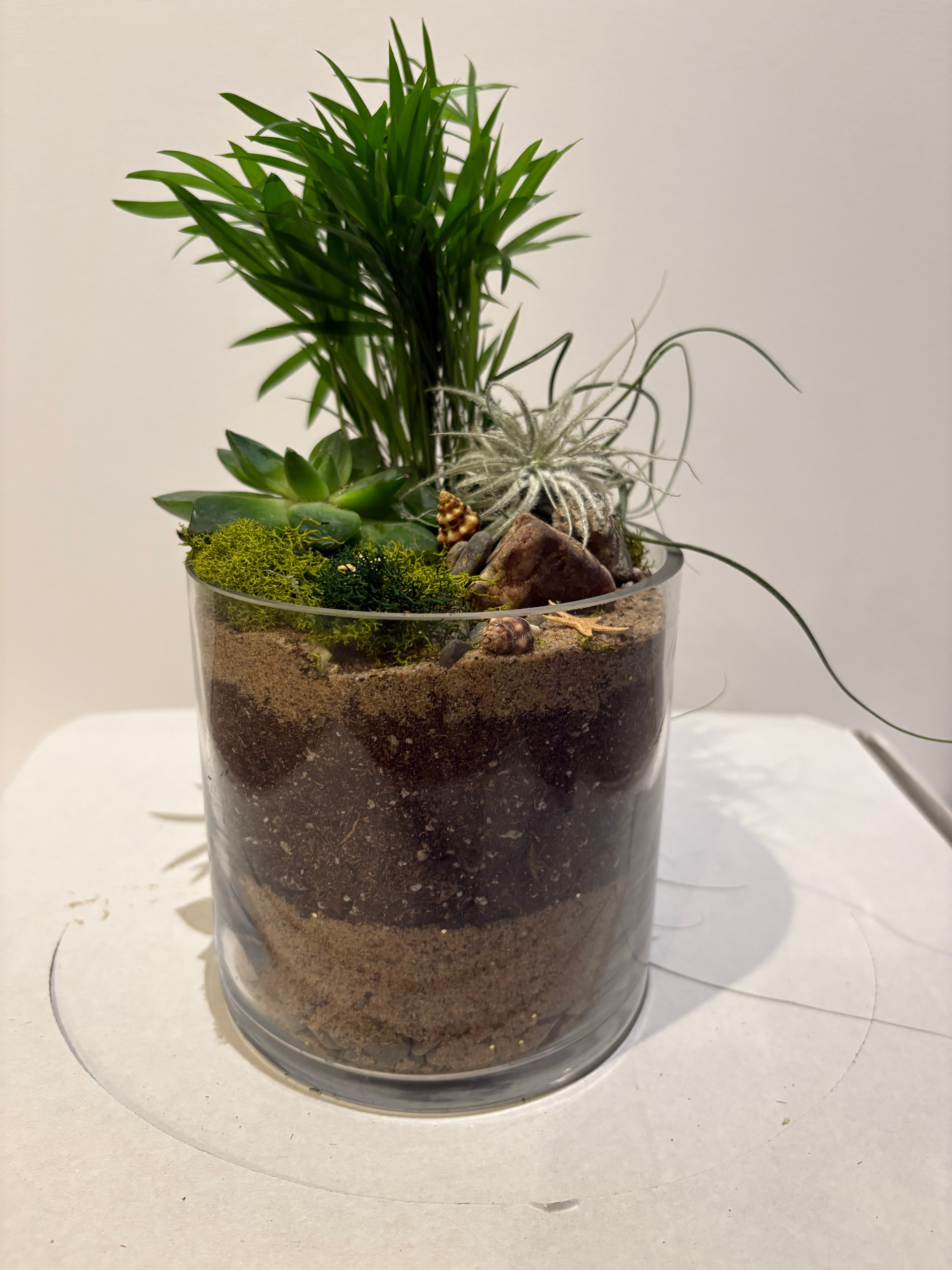 Magical Forest Veil Terrarium