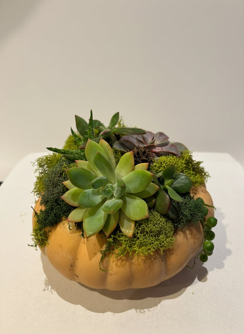 Enchanted Pumpkin Patch Garden