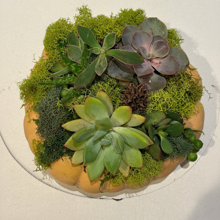 Enchanted Pumpkin Patch Garden