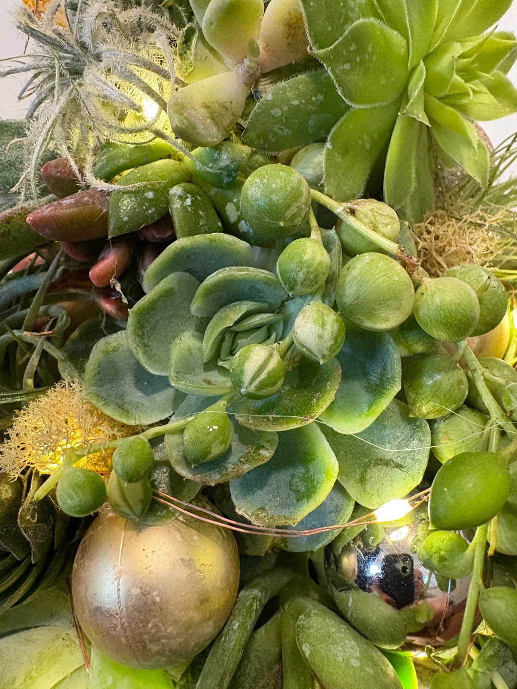 Evergreen Illuminated Succulent Mini Tree