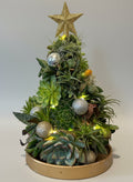 Evergreen Illuminated Succulent Mini Tree