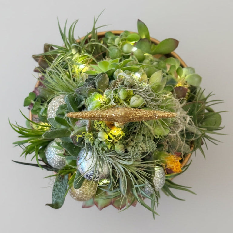 Evergreen Illuminated Succulent Mini Tree