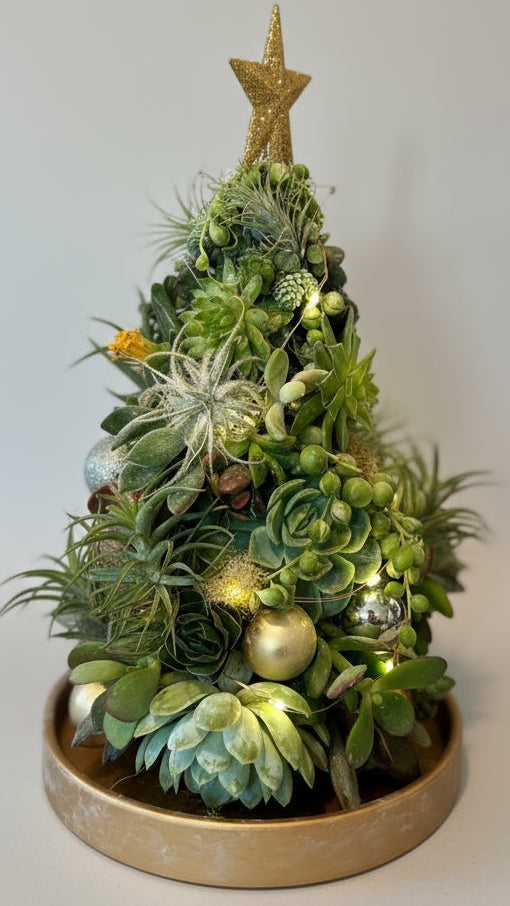 Evergreen Illuminated Succulent Mini Tree