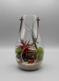 Woodland Garden Holiday Terrarium