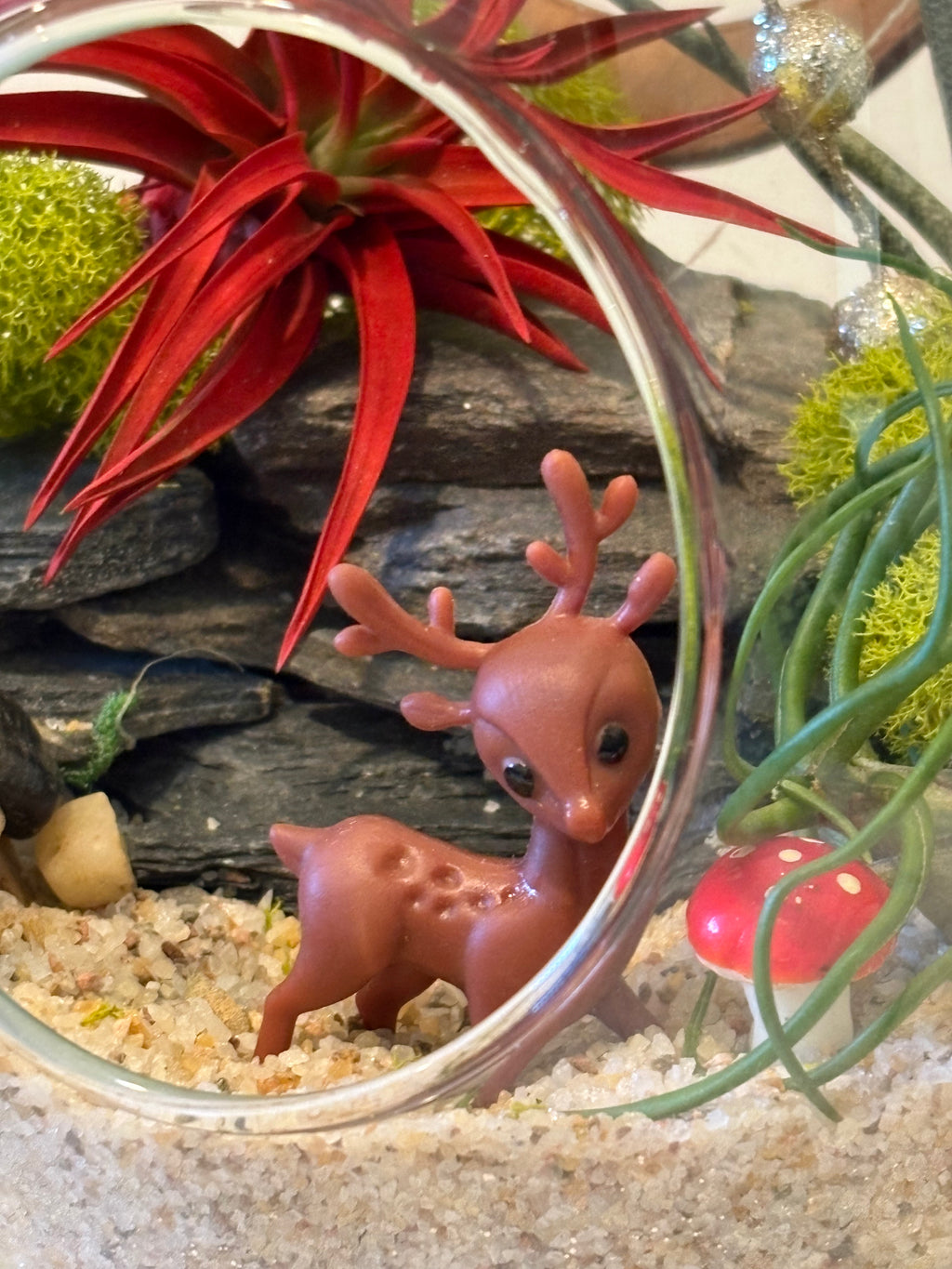 Woodland Garden Holiday Terrarium