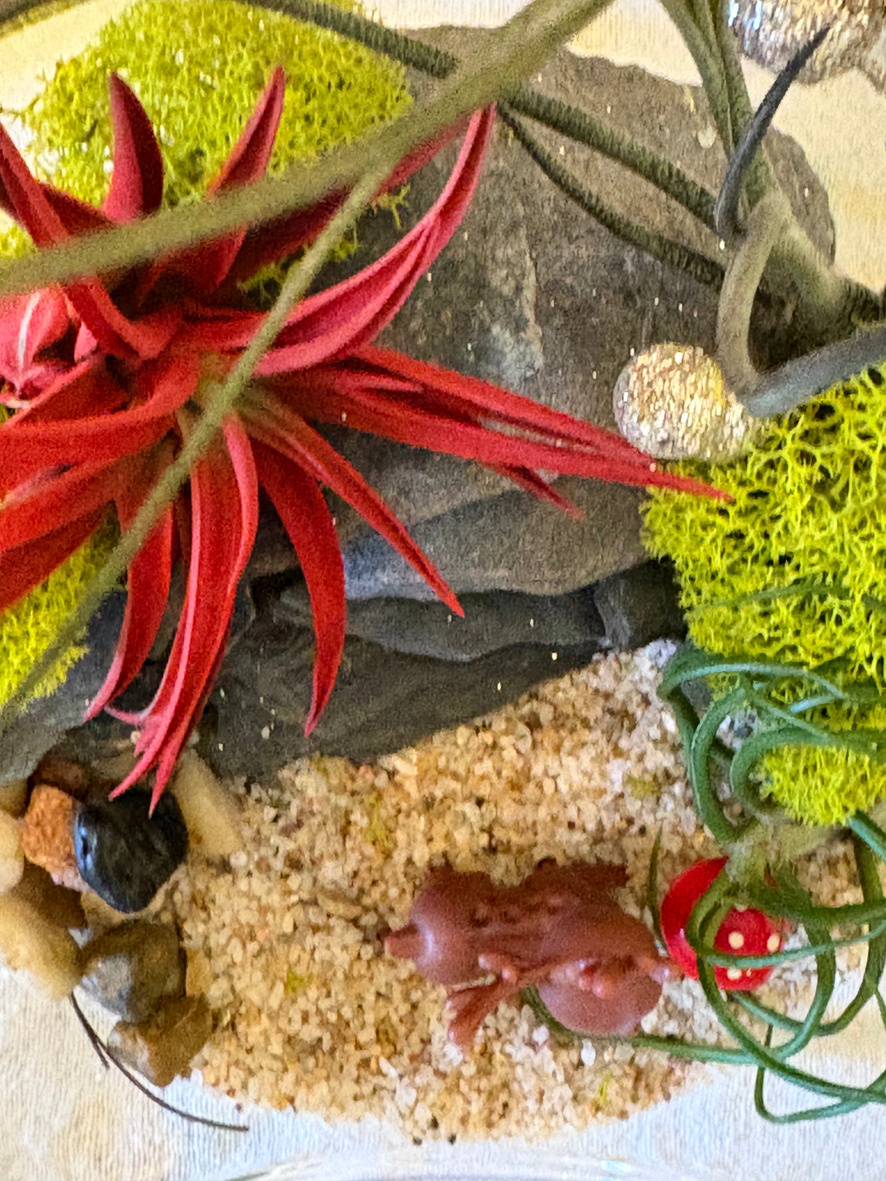 Woodland Garden Holiday Terrarium