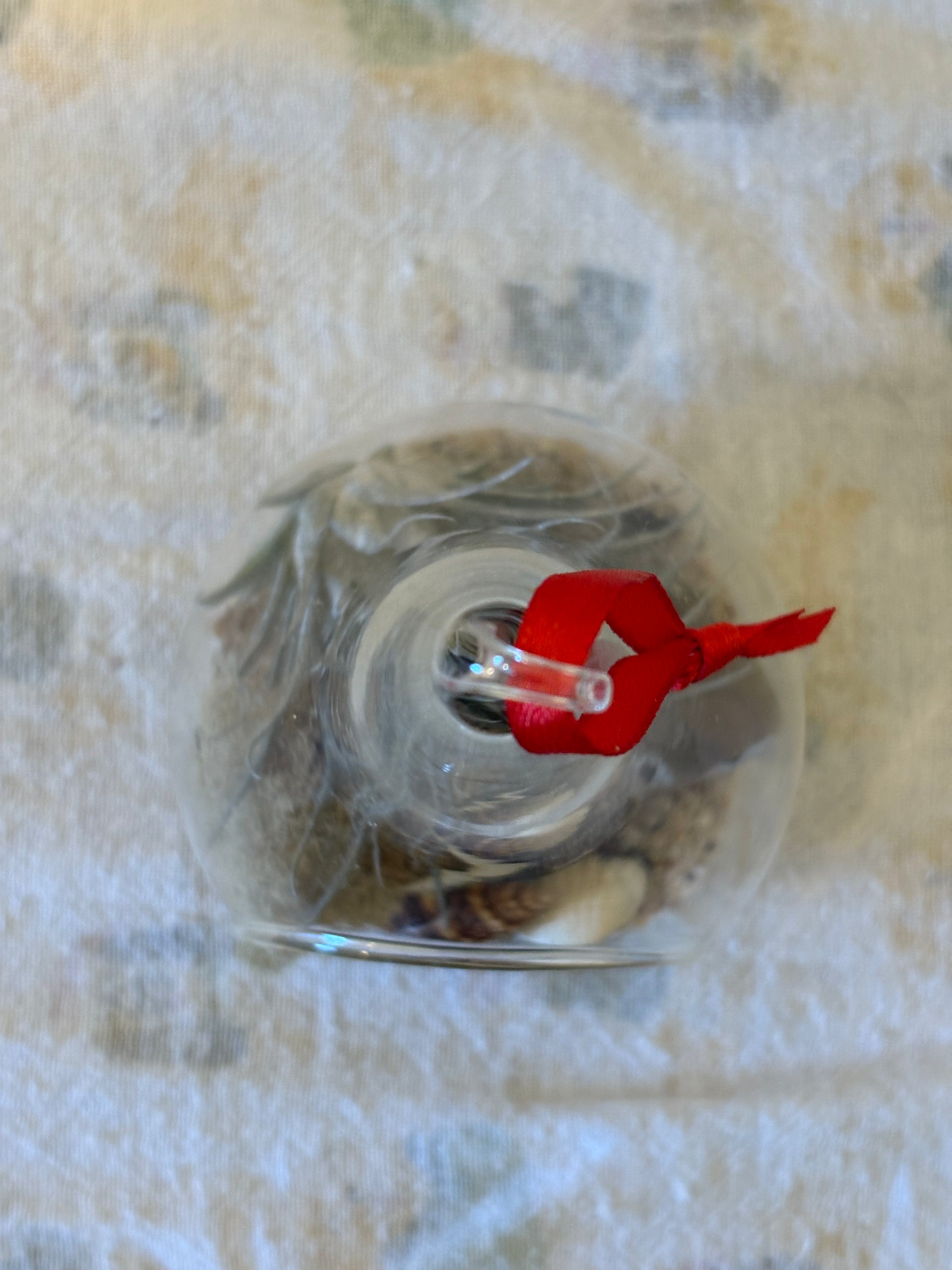 Winter Whisper Succulent Ornament