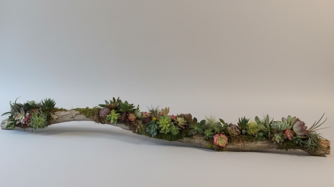 Enchanted Woodland Winter Branch