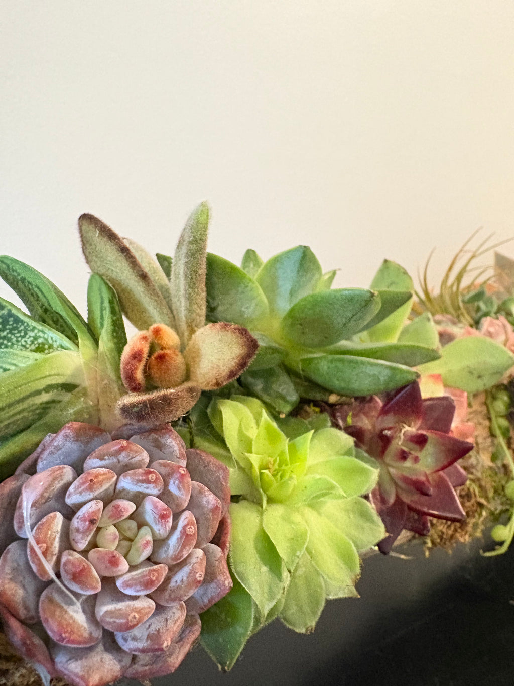 Enchanted Woodland Winter Branch