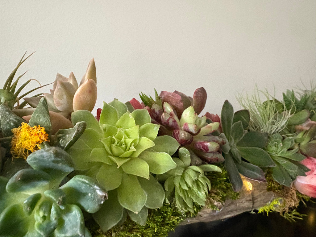 Enchanted Woodland Winter Branch